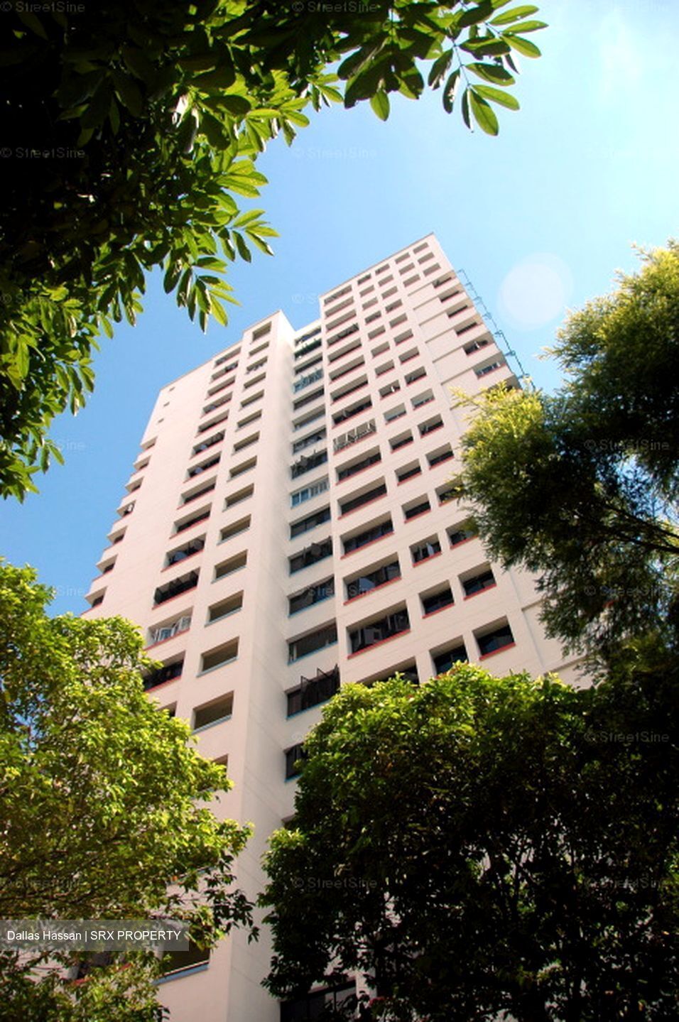 Blk 534 Panshan Grove (Bukit Panjang), HDB 4 Rooms #623058231